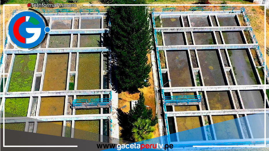 Ayacucho: con aguas residuales producen biogás y abono orgánico 