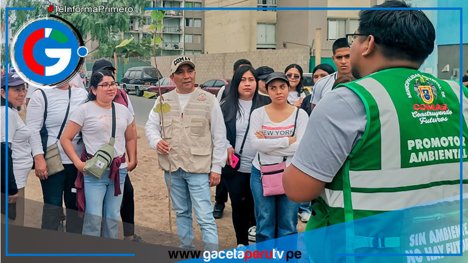 Jóvenes voluntarios impulsan siembra de plantones en avenidas en Comas