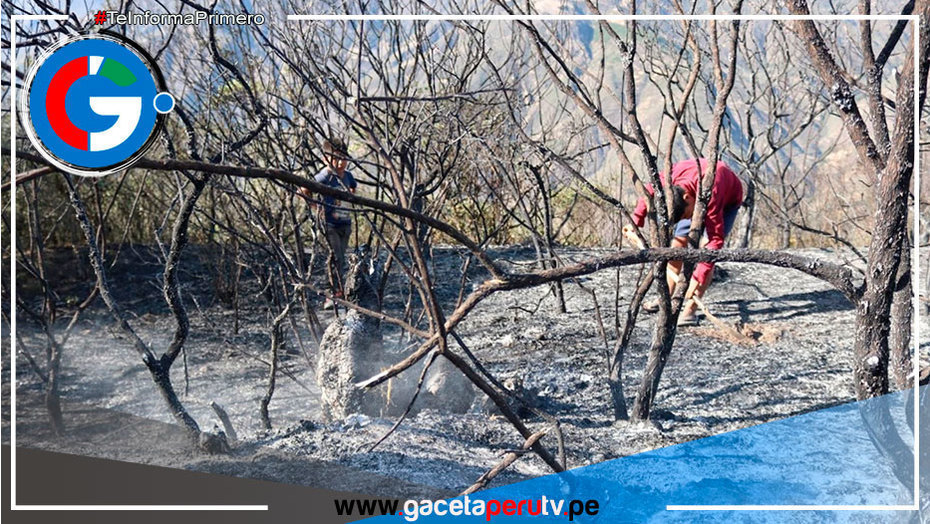Piura en alerta por incendios forestales 
