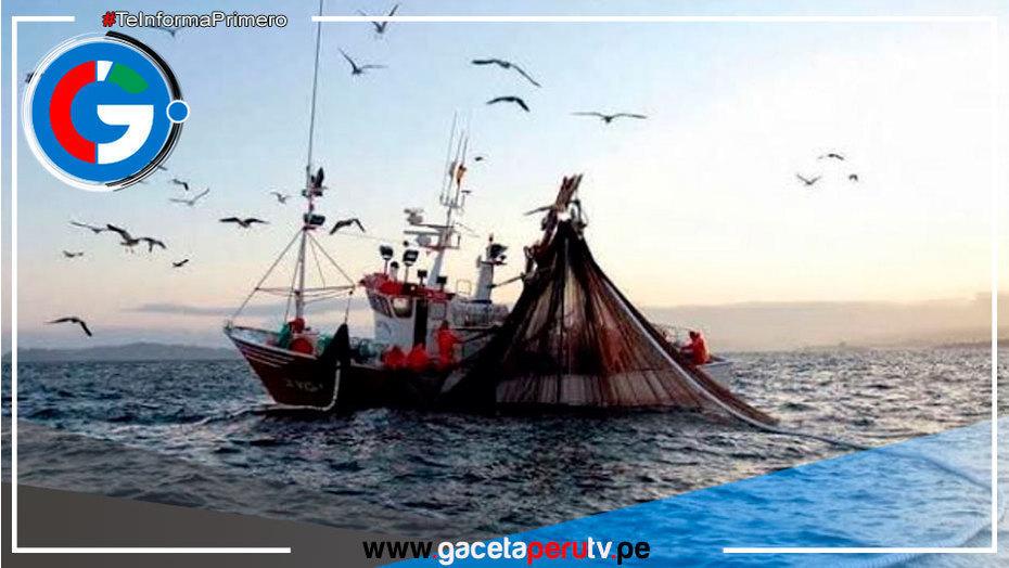 Aprueban normas para reducción de pago de multas en pesca y acuicultura 