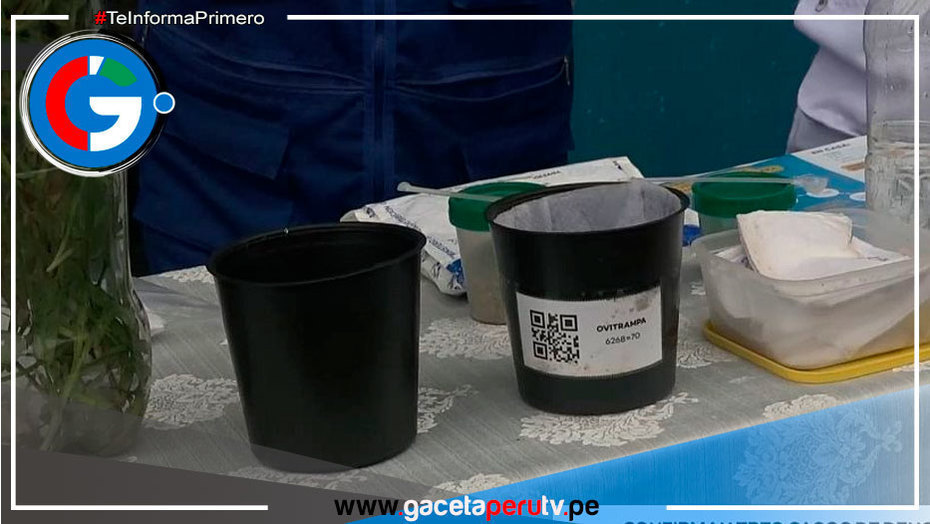 Reportan tres casos de dengue en Ventanilla y un paciente sospechoso