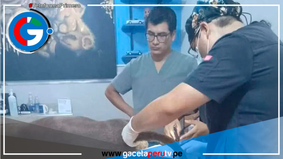 ¡Justicia para Luna! Policía captura a sujeto acusado de violar y asesinar a una perrita