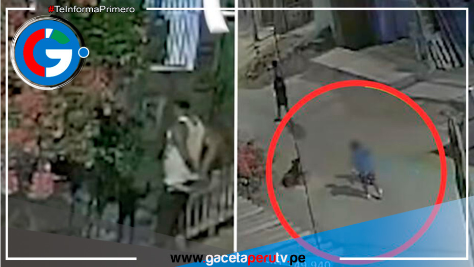 ¡No más crueldad! Hombre acuchilla a perrito por morder a su nieto en Villa el Salvador 