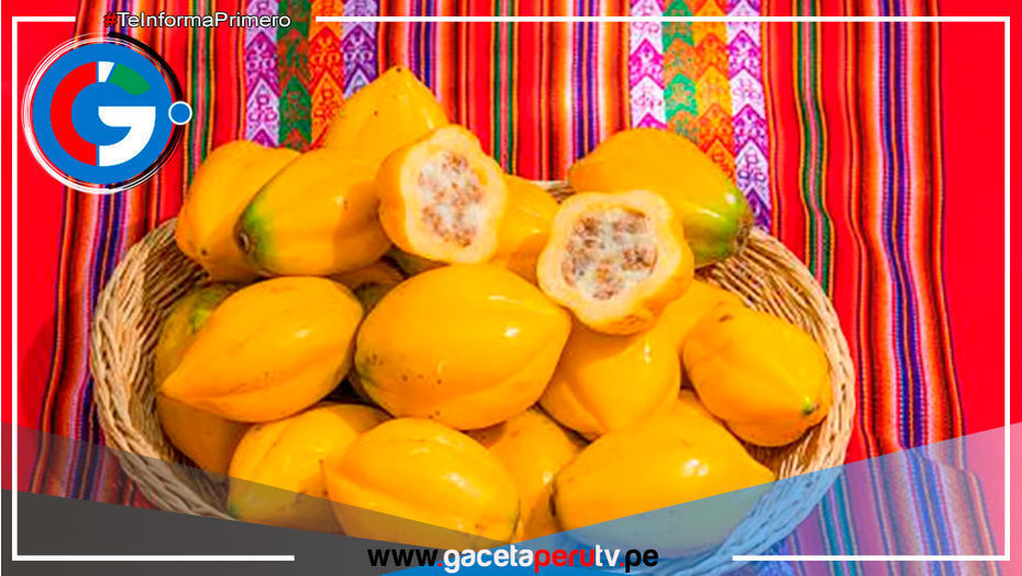 Puno: Productores de Sandia comercializan 55 toneladas de papayita andina 