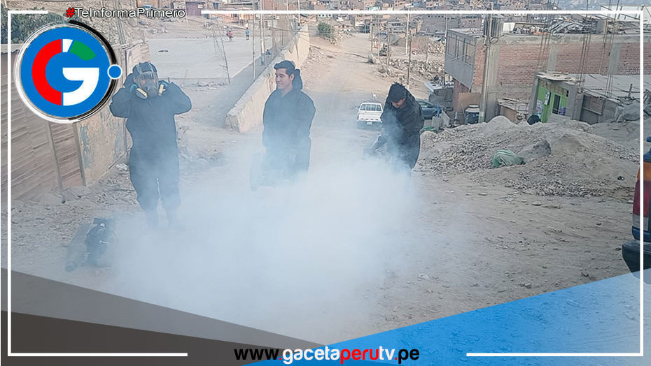 Municipalidad de Comas refuerza fumigación ante aumento de casos de dengue
