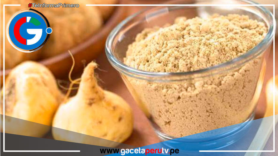 Científicos peruanos estudian efectos neuroprotectores de la maca 