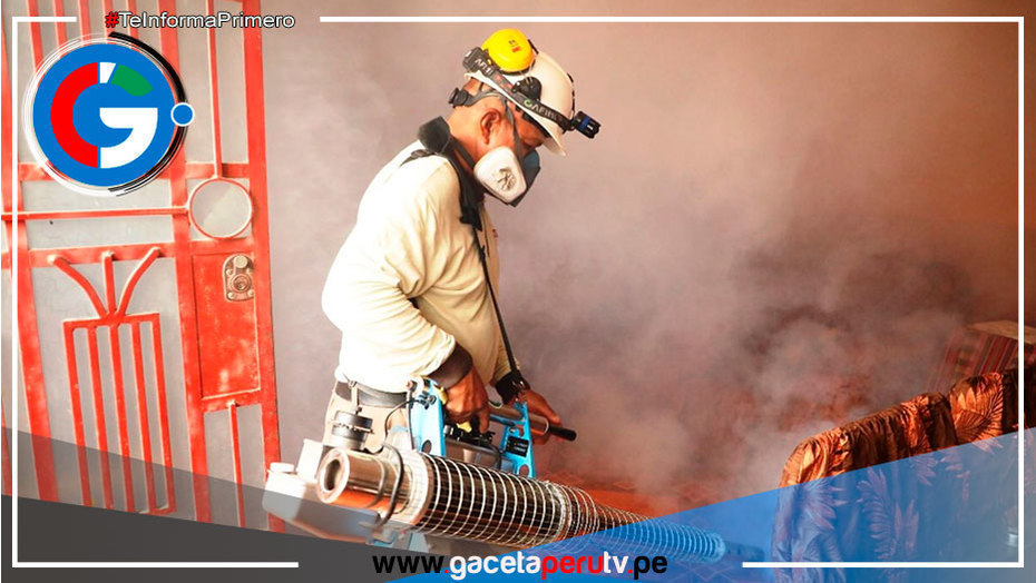 Intervienen más de 1,000 viviendas con Fumigatón en Independencia 