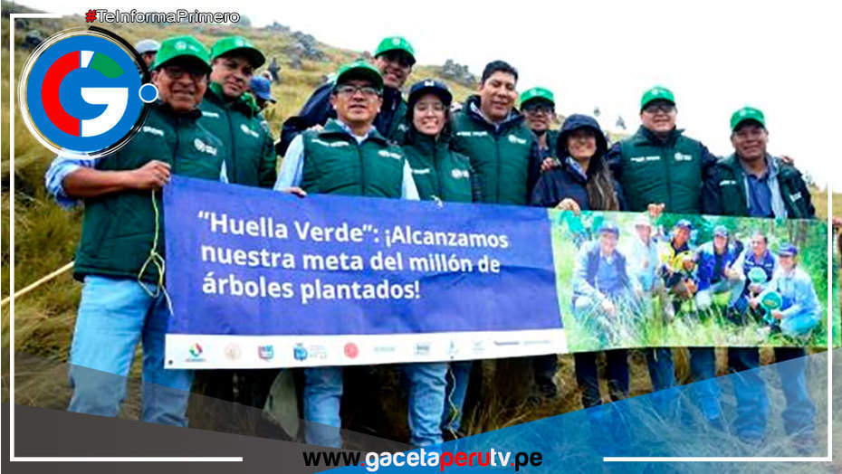 Conoce el proyecto que sembró un millón de árboles nativos en Cajamarca 