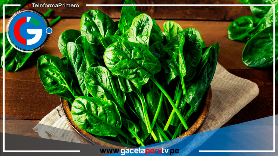 Conoce la verdura que te ayuda a aumentar masa muscular y bajar de peso