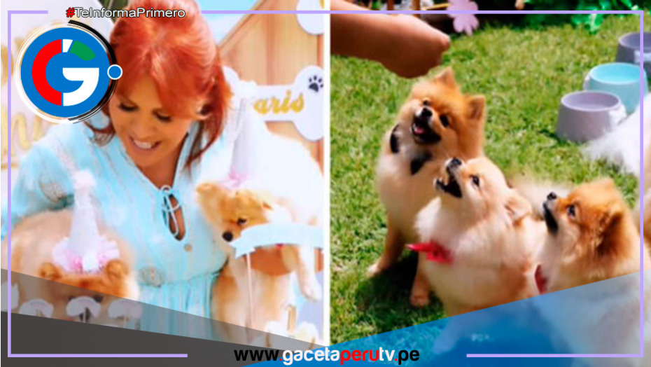 Magaly Medina celebra cumpleaños de sus perros con LUJOSA fiesta 