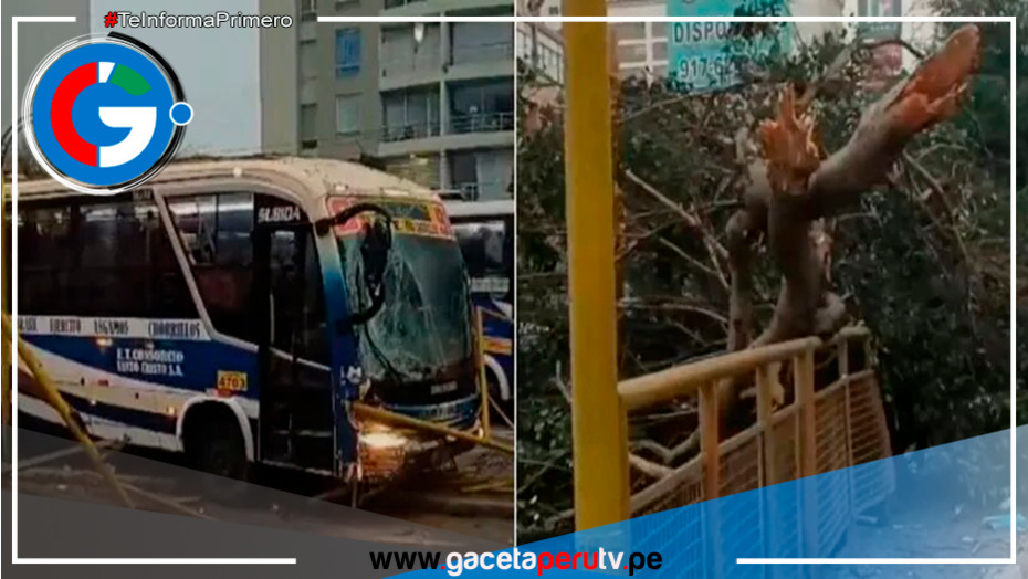 Bus de transporte público se despista en la Avenida Brasil