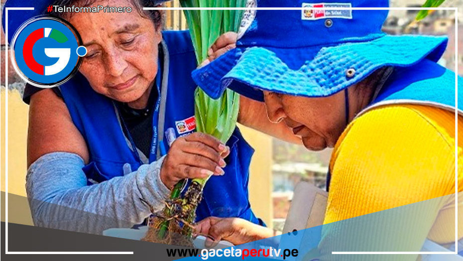 Lima: Intervendrán más de 260,000 viviendas para impedir ciclo de vida del zancudo 