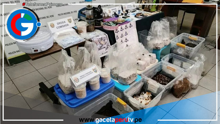 Caen "Los Pitufos del Callao" dedicada a la venta de drogas