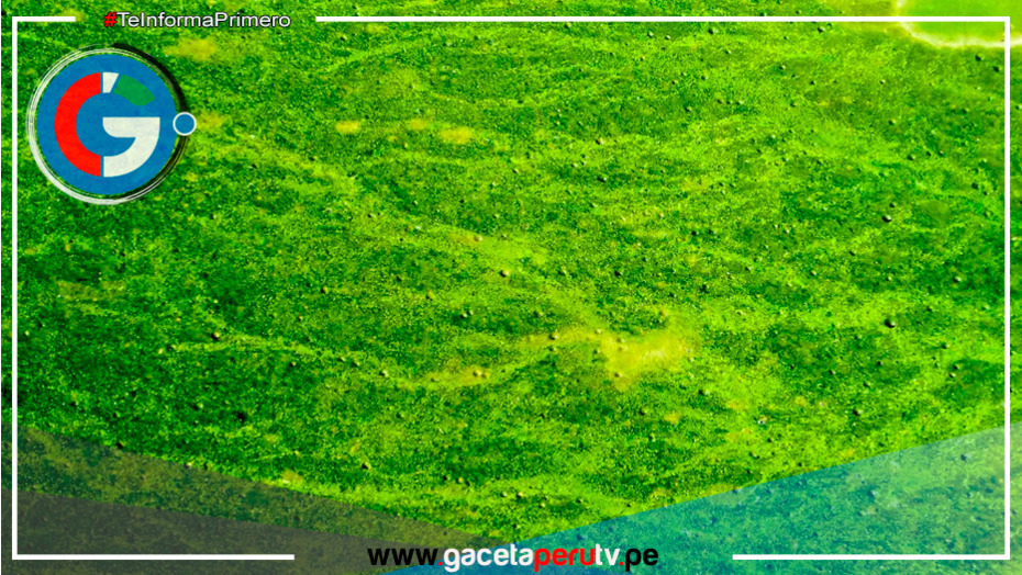 Científicos logran generación de electricidad con emisiones negativas de carbono