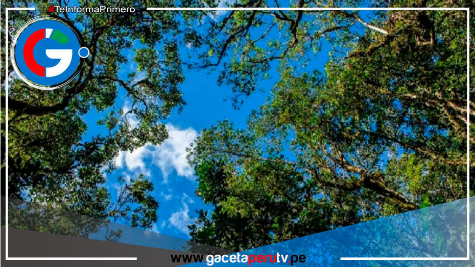 Otorgan 1.7 millones de euros a Perú para acciones frente al cambio climático 