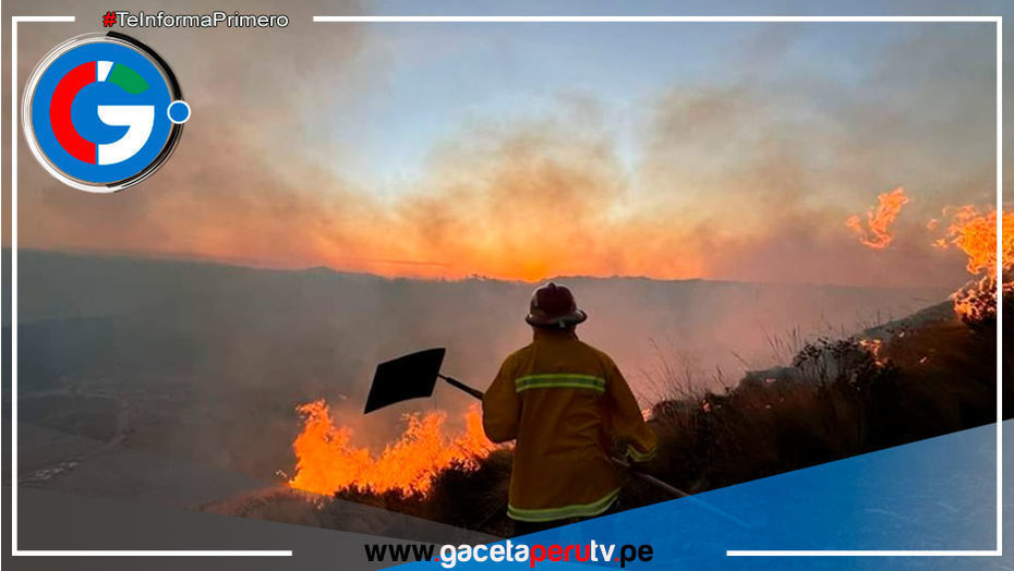 Esperan aportes a proyecto de lineamientos ante emergencias por incendios forestales 