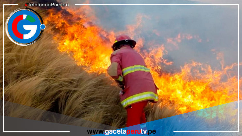 ¿Cómo se generan los incendios forestales y qué eventos naturales favorecen su propagación? 