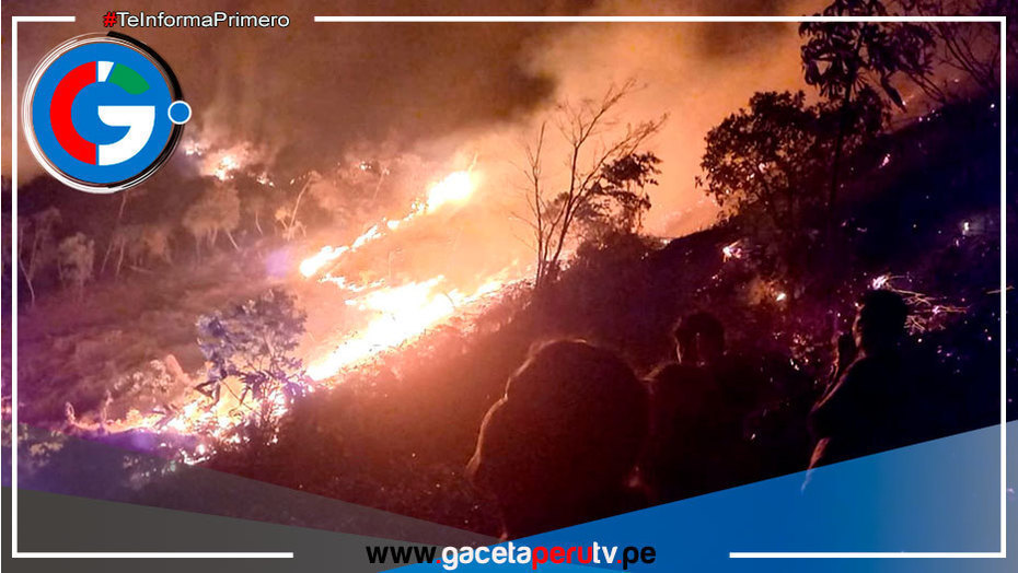 Cajamarca pide ser declarada en emergencia por daños por incendios forestales 