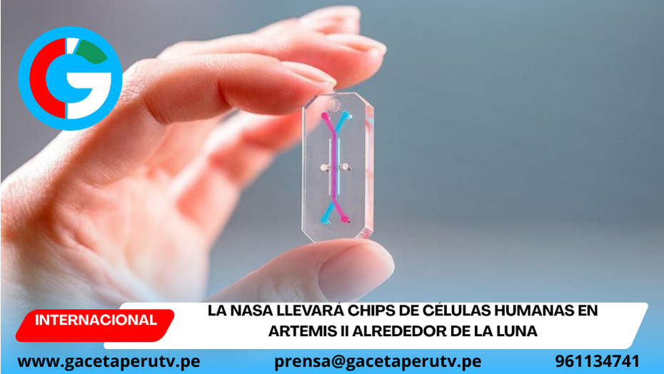 La NASA llevará chips de células humanas en Artemis II alrededor de la Luna