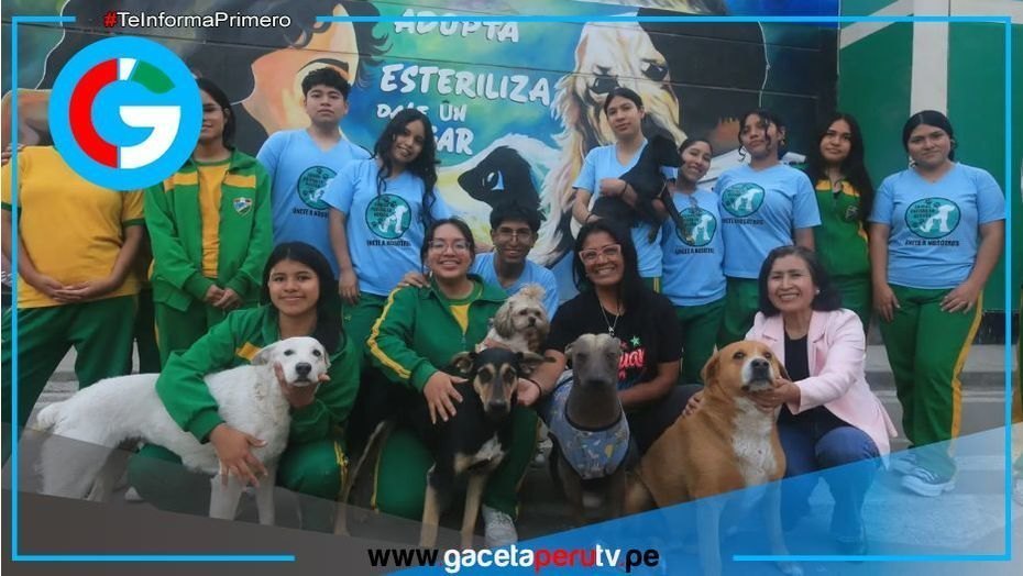 Presentan proyecto de ley para enseñar tenencia responsable de mascotas