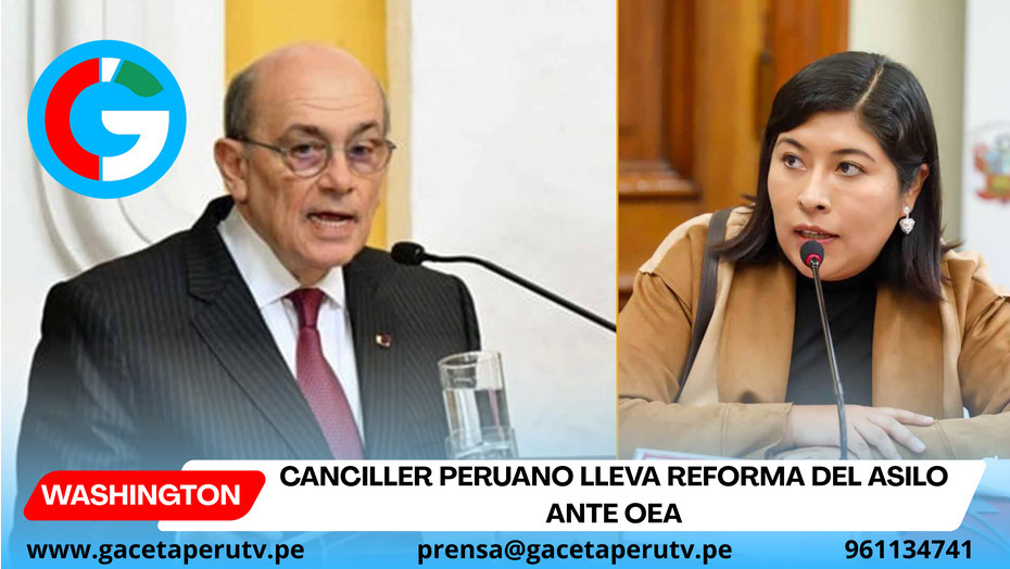 Canciller peruano lleva reforma del asilo ante OEA