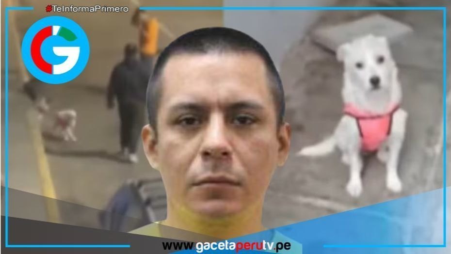  Mujer denuncia a exconviviente por maltrato físico y violencia animal 