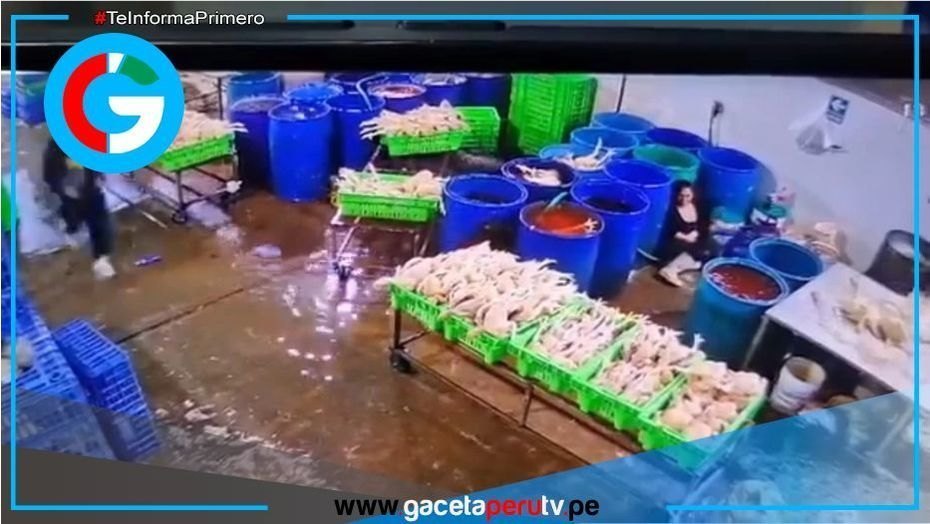Delincuentes disfrazados de policías asesinan a empresaria avícola en Huaura 