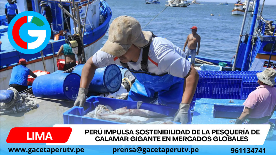 Perú impulsa sostenibilidad de la pesquería de calamar gigante en mercados globales