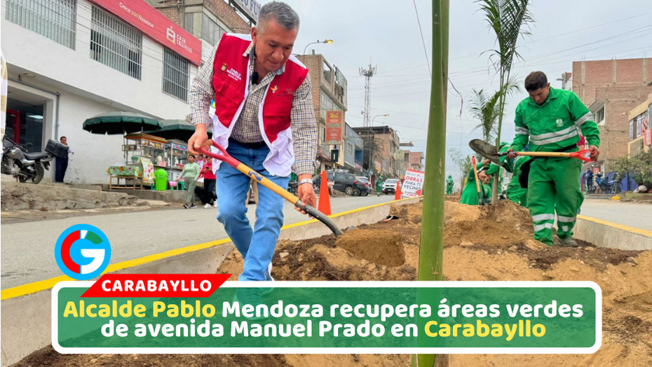 Alcalde Pablo Mendoza recupera áreas verdes de avenida Manuel Prado en Carabayllo
